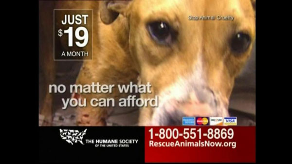 Humane Society PSA