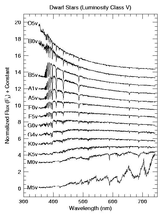 Spectral Types (plotted spectra)