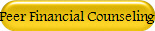 Peer Financial Counseling