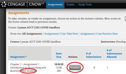 Assignments page displayed with Assignment 1 Practice button circled in red.